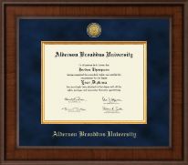 Alderson Broaddus University Presidential Gold Engraved Diploma Frame in Madison
