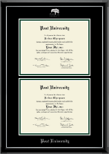 Post University diploma frame - Double Diploma Frame in Onyx Silver