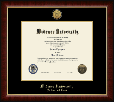 Widener University School of Law diploma frame - Gold Engraved Medallion Diploma Frame in Murano
