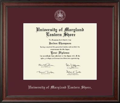 University of Maryland Eastern Shore diploma frame - Silver Embossed Diploma Frame in Studio