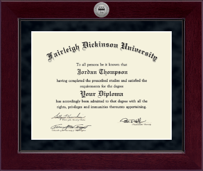 Fairleigh Dickinson University diploma frame - Millennium Silver Engraved Diploma Frame in Cordova