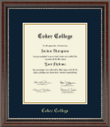 Coker College Gold Embossed Diploma Frame in Chateau