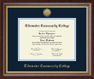 Tidewater Community College Gold Engraved Medallion Diploma Frame in Hampshire