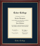 Coker College Gold Embossed Diploma Frame in Kensington Gold