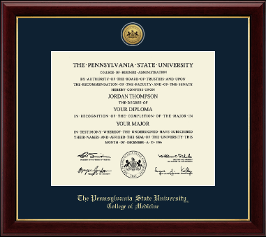 Pennsylvania State University diploma frame - Gold Engraved Medallion Diploma Frame in Gallery