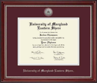 University of Maryland Eastern Shore diploma frame - Silver Engraved Medallion Diploma Frame in Kensington Silver