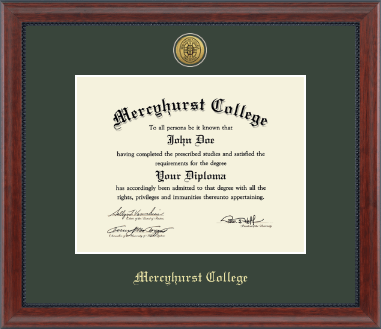 Mercyhurst College Erie diploma frame - Gold Engraved Medallion Diploma Frame in Signature