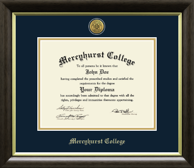 Mercyhurst College North East diploma frame - Gold Engraved Medallion Diploma Frame in Hampshire
