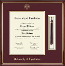 University of Charleston Tassel Edition Diploma Frame in Southport Gold