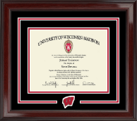 University of Wisconsin Madison diploma frame - Spirit Motion W Medallion Diploma Frame in Encore