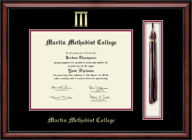 Martin Methodist College diploma frame - Tassel & Cord Diploma Frame in Southport