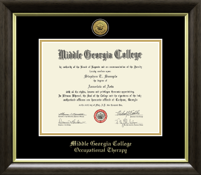 Middle Georgia College diploma frame - Gold Engraved Medallion Diploma Frame in Hampshire