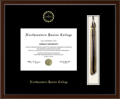 Northeastern Junior College diploma frame - Tassel & Cord Diploma Frame in Delta
