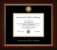 Northeastern Junior College Gold Engraved Medallion Diploma Frame in Murano