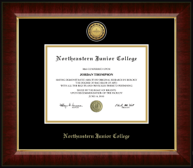 Northeastern Junior College diploma frame - Gold Engraved Medallion Diploma Frame in Murano