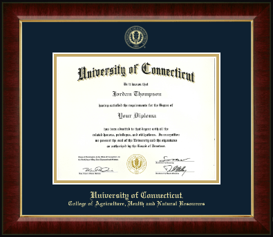 University of Connecticut diploma frame - Gold Embossed Diploma Frame in Murano