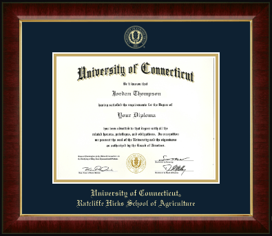 University of Connecticut diploma frame - Gold Embossed Diploma Frame in Murano