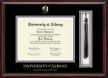 University at Albany State University of New York Tassel Edition Diploma Frame in Southport