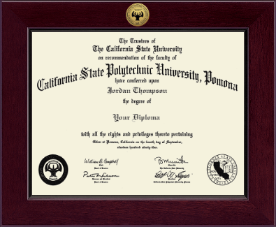 California State Polytechnic University, Pomona diploma frame - Century Gold Engraved Diploma Frame in Cordova