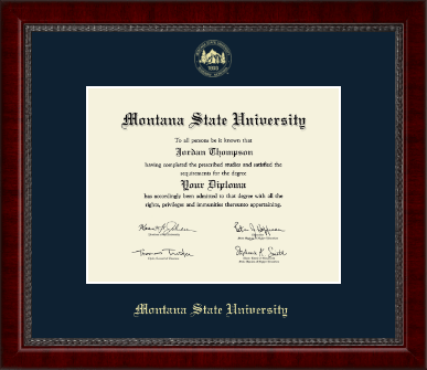 Montana State University Bozeman diploma frame - Gold Embossed Diploma Frame in Sutton