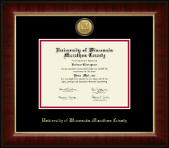 University of Wisconsin Wausau Gold Engraved Medallion Diploma Frame in Murano