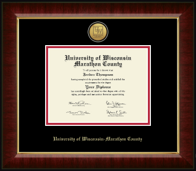 University of Wisconsin Wausau diploma frame - Gold Engraved Medallion Diploma Frame in Murano