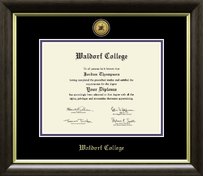Waldorf College diploma frame - Gold Engraved Medallion Diploma Frame in Hampshire