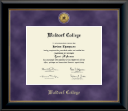 Waldorf College Gold Engraved Medallion Diploma Frame in Onyx Gold