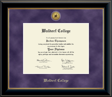 Waldorf College diploma frame - Gold Engraved Medallion Diploma Frame in Onyx Gold