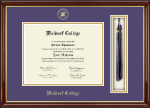 Waldorf College Tassel Edition Diploma Frame in Southport Gold