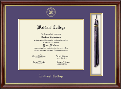 Waldorf College diploma frame - Tassel & Cord Diploma Frame in Southport Gold