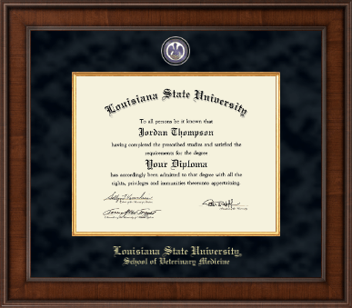 Louisiana State University diploma frame - Presidential Masterpiece Diploma Frame in Madison