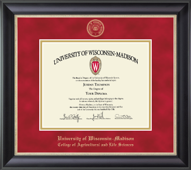 University of Wisconsin Madison diploma frame - Gold Embossed Diploma Frame in Noir