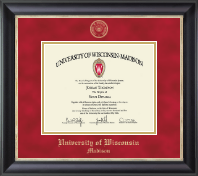 University of Wisconsin Madison Gold Embossed Diploma Frame in Noir