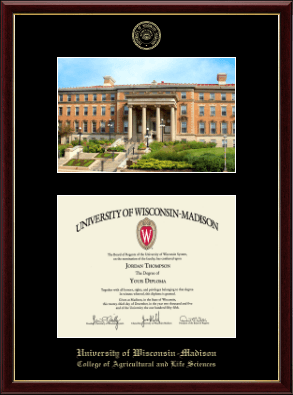 University of Wisconsin Madison diploma frame - Campus Scene Edition Diploma Frame in Galleria