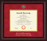 Cornell University Presidential Black Enamel Masterpiece Diploma Frame in Premier