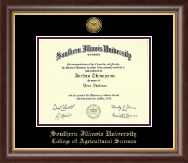 Southern Illinois University Carbondale Gold Engraved Medallion Diploma Frame in Hampshire