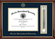 Florida International University diploma frame - Tassel & Cord Diploma Frame in Southport Gold