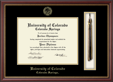 University of Colorado Colorado Springs diploma frame - Tassel & Cord Diploma Frame in Newport