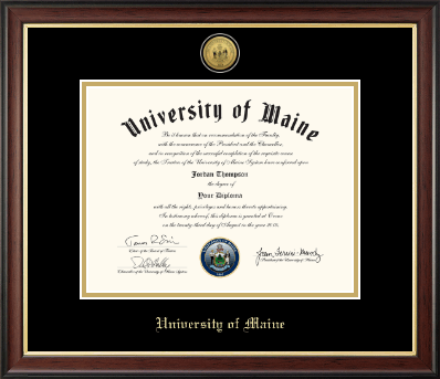 The University of Maine Orono diploma frame - Gold Engraved Medallion Diploma Frame in Studio Gold
