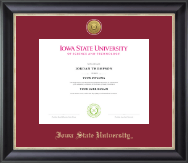 Iowa State University diploma frame - Gold Engraved Medallion Diploma Frame in Noir