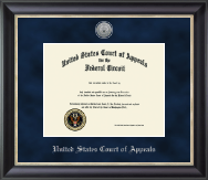 The United States Court of Appeals Silver Engraved Medallion Certificate Frame in Noir