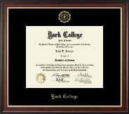 York College of Nebraska Gold Embossed Diploma Frame in Studio Gold