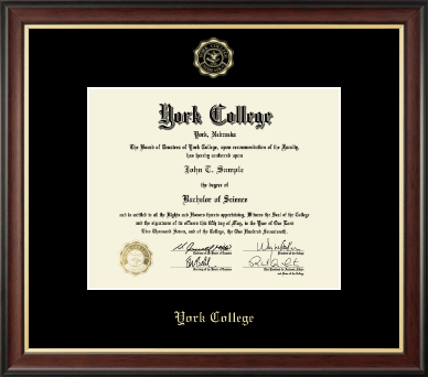 York College of Nebraska diploma frame - Gold Embossed Diploma Frame in Studio Gold
