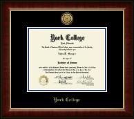 York College of Nebraska diploma frame - Gold Engraved Medallion Diploma Frame in Murano
