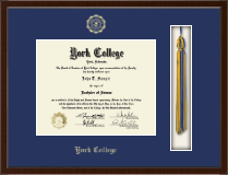 York College of Nebraska diploma frame - Tassel Edition Diploma Frame in Delta