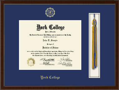 York College of Nebraska diploma frame - Tassel & Cord Diploma Frame in Delta