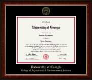 University of Georgia diploma frame - Gold Embossed Diploma Frame in Murano