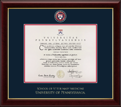 University of Pennsylvania diploma frame - Masterpiece Medallion Diploma Frame in Gallery