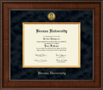 Brenau University diploma frame - Presidential Gold Engraved Diploma Frame in Madison
